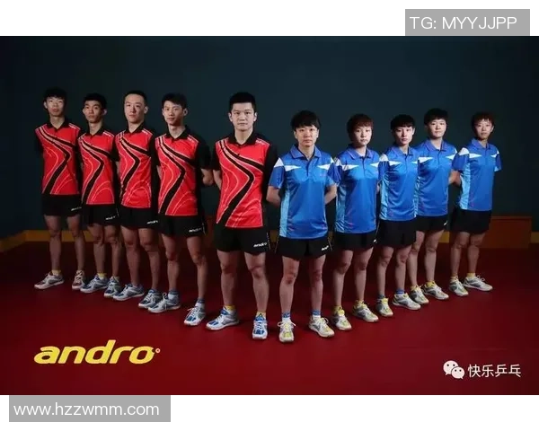 杭州乒乓球队与武汉乒乓球队个人能力对比分析及赛后总结